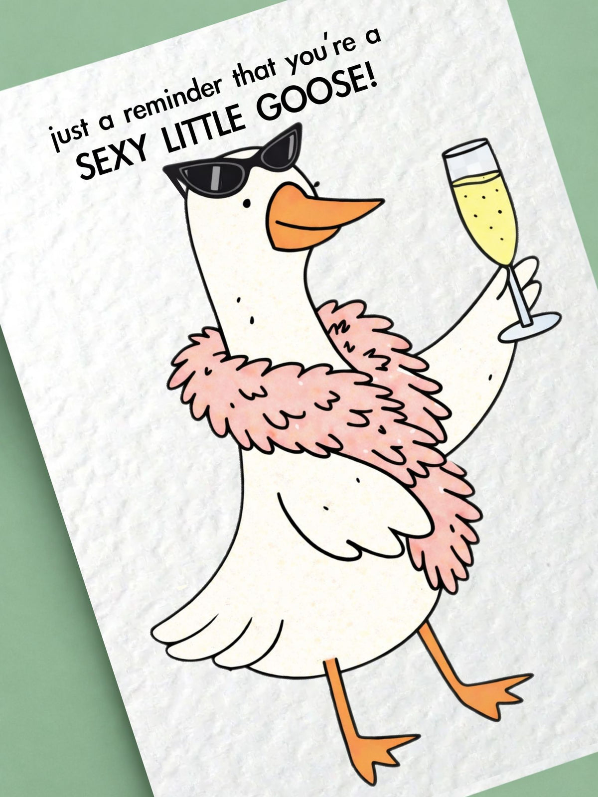 Cute Goose Birthday Card: Just Because Greeting Gift