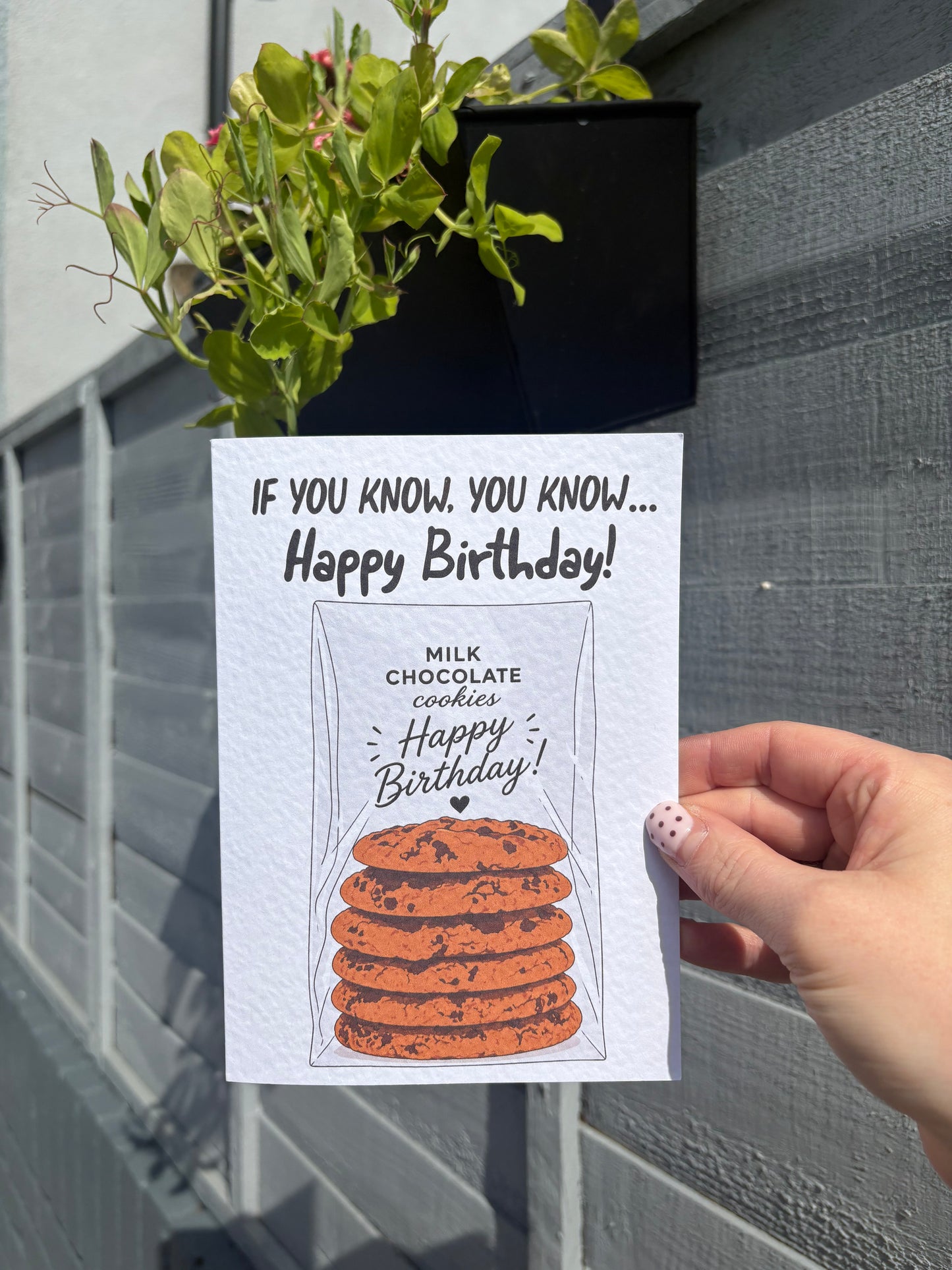Have A Sweet Birthday Card Chocolate Chip Cookie, Funny Food Lover Greeting Card