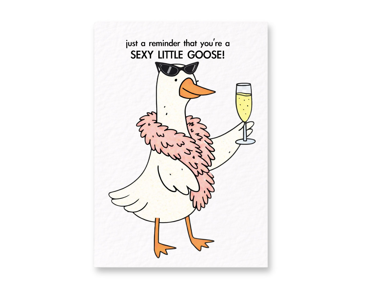 Cute Goose Birthday Card: Just Because Greeting Gift