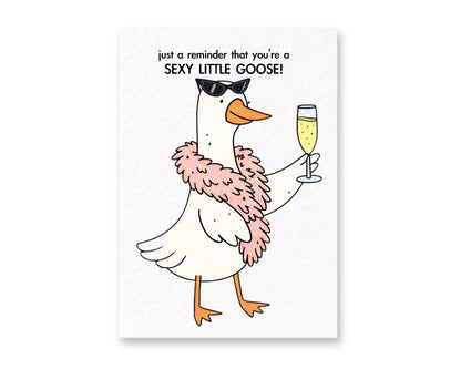 Cute Goose Birthday Card: Just Because Greeting Gift