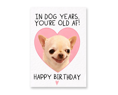 Funny Birthday Card for Dog Lovers,  Chihuahua Gift For Friend, Sarcastic, Old AF Greeting Card