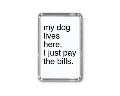 Funny Dog Magnet, Dog Lover Gift, Pet Parent Present, Humorous Fridge Decor, Canine Keepsake, Quirky Home Accessory, Animal Lover Gift