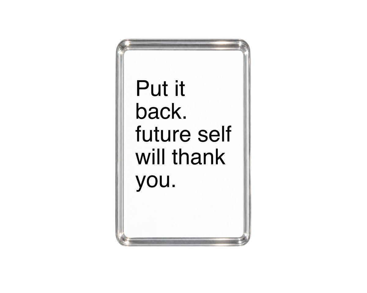 Funny Fridge Magnet, Put It Back Sign, Sarcastic Kitchen Decor, Organising Gift, Humorous Housewarming Present, Witty Home Accessory
