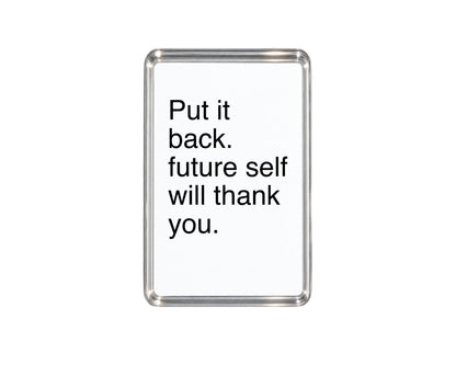 Funny Fridge Magnet, Put It Back Sign, Sarcastic Kitchen Decor, Organising Gift, Humorous Housewarming Present, Witty Home Accessory