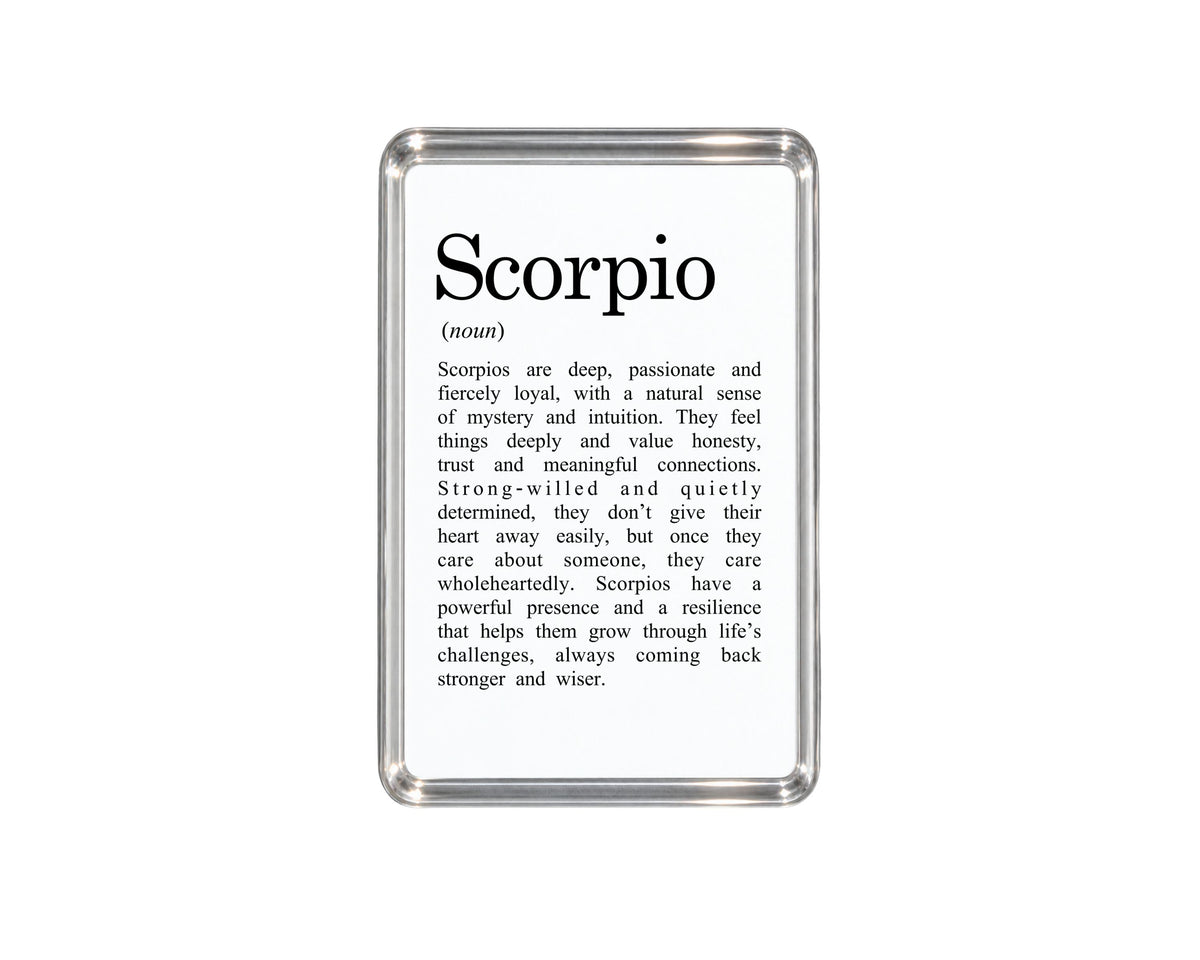 Scorpio Zodiac Magnet, Astrology Gift, Horoscope Decor, Scorpio Birthday Present, Water Sign Accessory, Celestial Keepsake