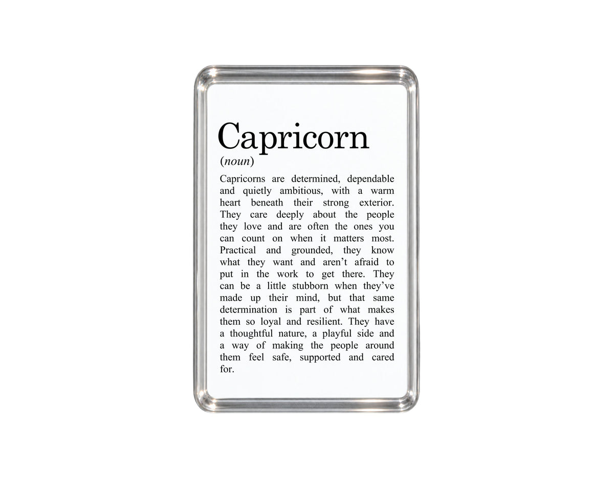 Capricorn Zodiac Magnet, Astrology Gift, Horoscope Decor, Capricorn Birthday Present, Earth Sign Accessory, Celestial Keepsake, Goat