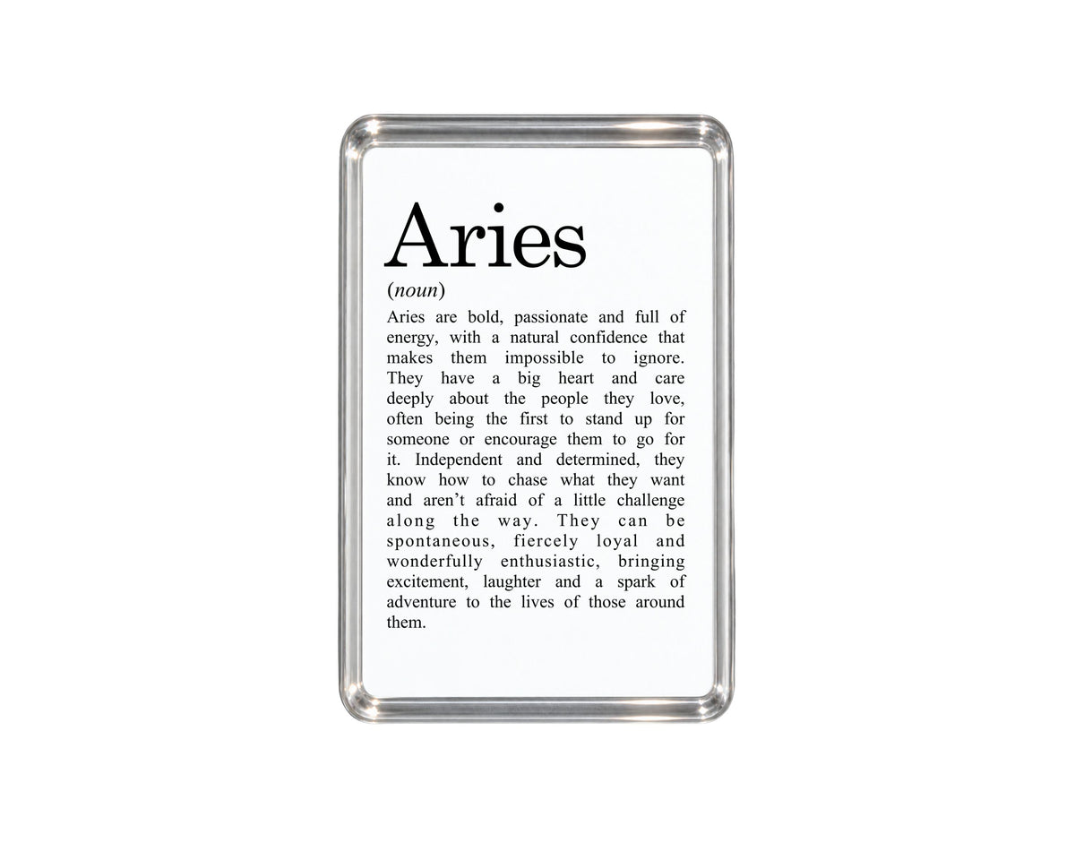 Aries Zodiac Magnet, Astrology Gift, Horoscope Keepsake, Fire Sign Decor, Birthday Present, Ram Zodiac, Celestial Home Accessory