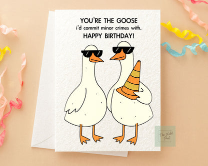 Funny Goose Birthday Card: Naughty Goose Duo, Geese Criminal Greeting Card For Best Friend, Sibling
