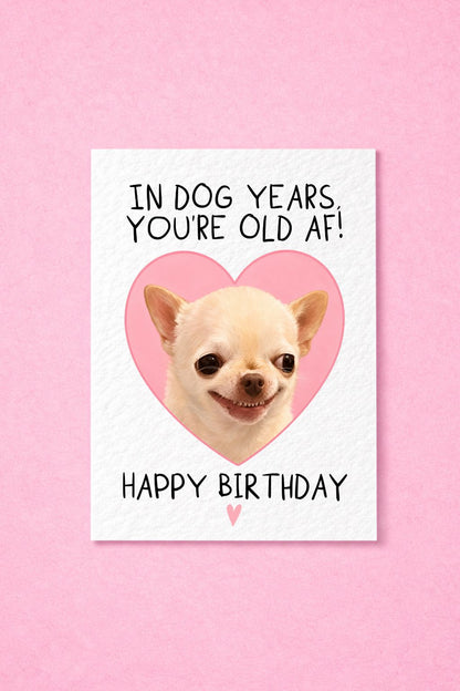 Funny Birthday Card for Dog Lovers,  Chihuahua Gift For Friend, Sarcastic, Old AF Greeting Card
