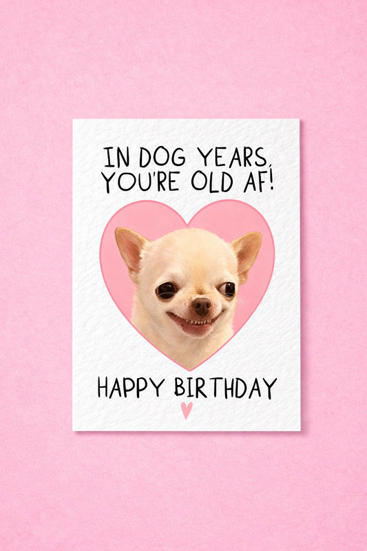 Funny Birthday Card for Dog Lovers,  Chihuahua Gift For Friend, Sarcastic, Old AF Greeting Card