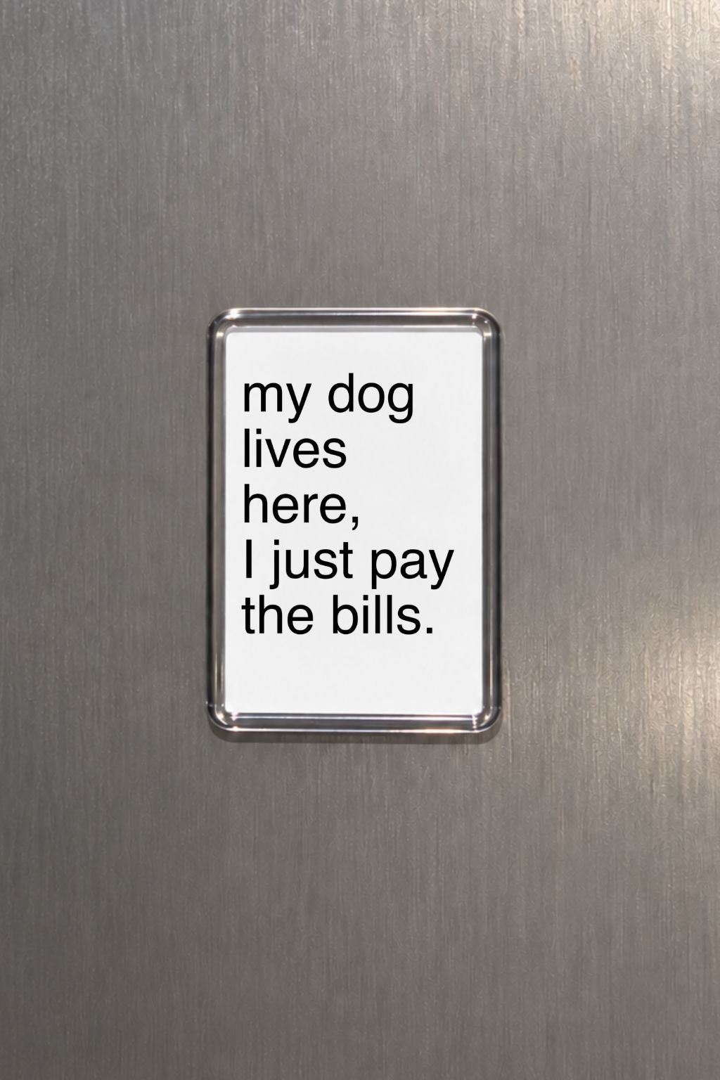Funny Dog Magnet, Dog Lover Gift, Pet Parent Present, Humorous Fridge Decor, Canine Keepsake, Quirky Home Accessory, Animal Lover Gift