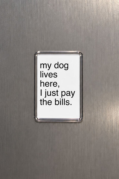 Funny Dog Magnet, Dog Lover Gift, Pet Parent Present, Humorous Fridge Decor, Canine Keepsake, Quirky Home Accessory, Animal Lover Gift
