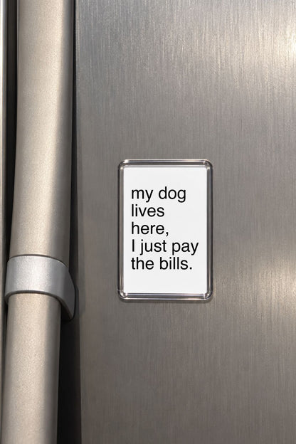 Funny Dog Magnet, Dog Lover Gift, Pet Parent Present, Humorous Fridge Decor, Canine Keepsake, Quirky Home Accessory, Animal Lover Gift