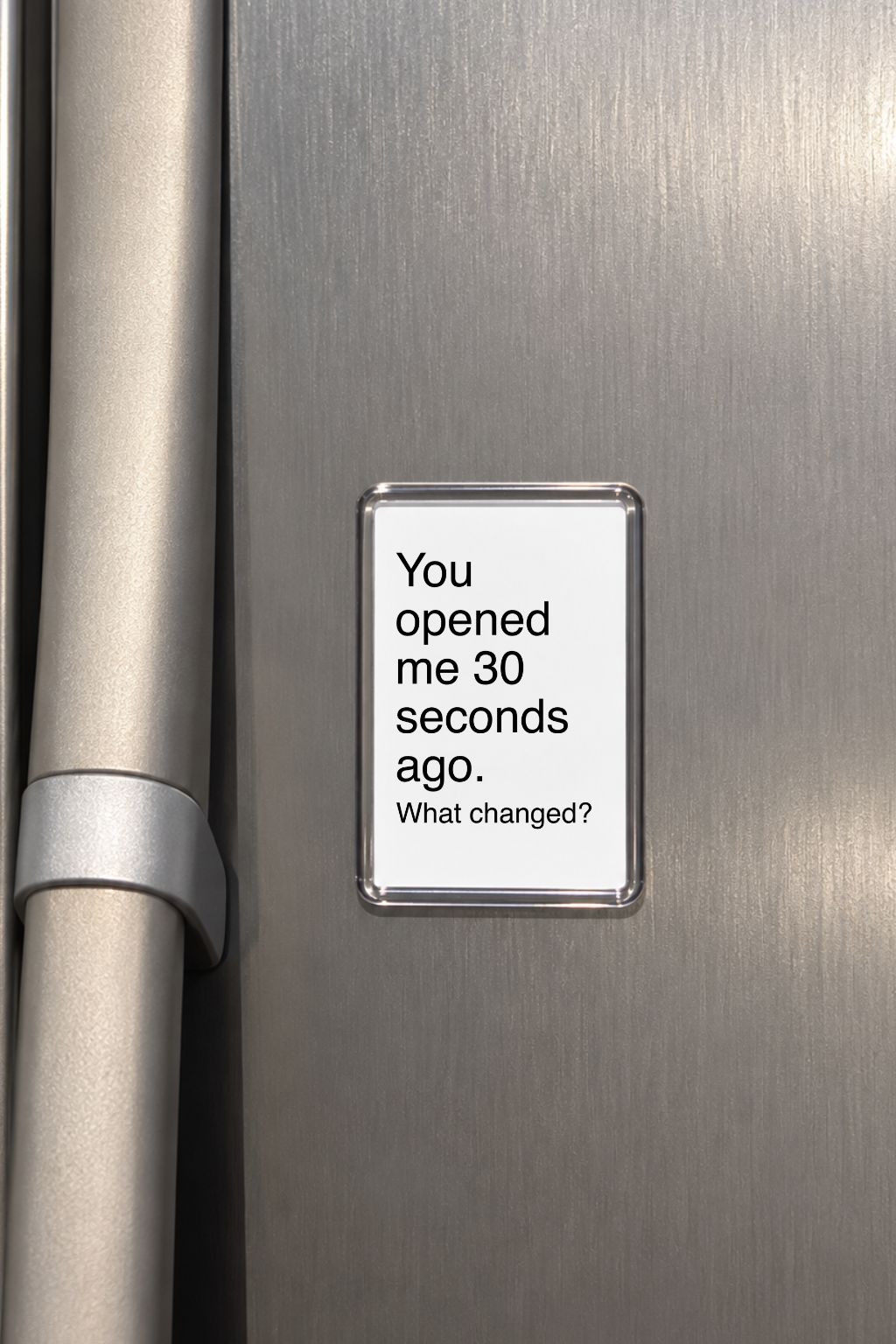 Funny Fridge Magnet, Sarcastic Gift, Humorous Kitchen Decor, Novelty Present, Quirky Keepsake, Sassy Home Accessory, Witty Housewarming Idea