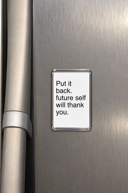 Funny Fridge Magnet, Put It Back Sign, Sarcastic Kitchen Decor, Organising Gift, Humorous Housewarming Present, Witty Home Accessory