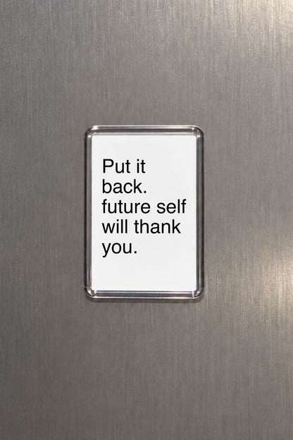 Funny Fridge Magnet, Put It Back Sign, Sarcastic Kitchen Decor, Organising Gift, Humorous Housewarming Present, Witty Home Accessory