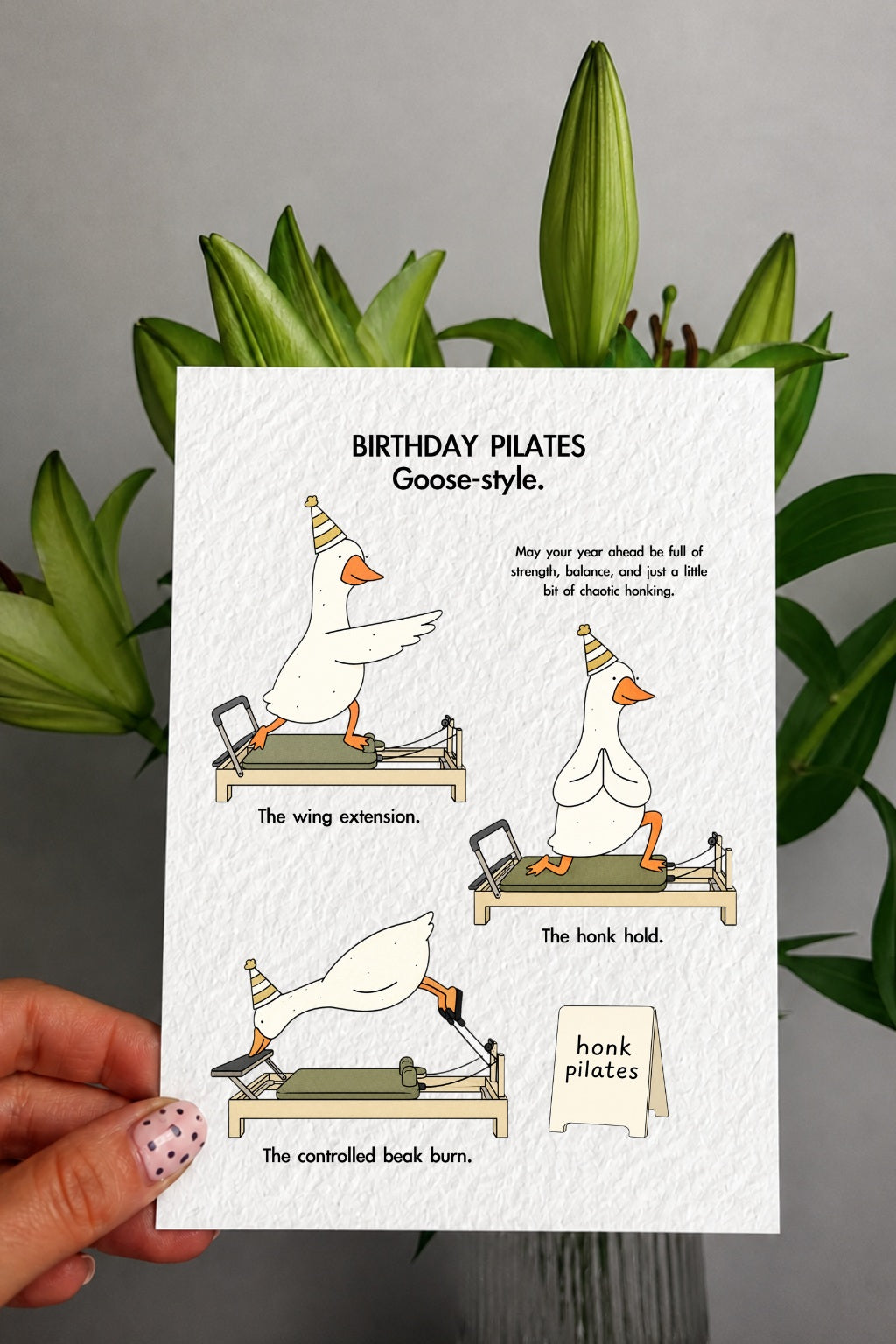 Funny Pilates Goose Birthday Card: Humorous Design For Friend, Pilate Positions Honk Studio Greeting Card
