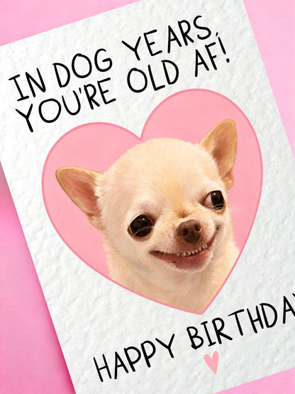Funny Birthday Card for Dog Lovers,  Chihuahua Gift For Friend, Sarcastic, Old AF Greeting Card