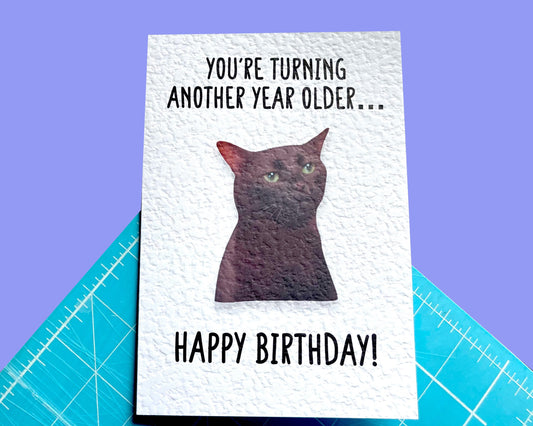 Zoned Out Cat Viral Meme Greeting Card - Happy Birthday - You're one year older... - Humorous Card - Funny Meme