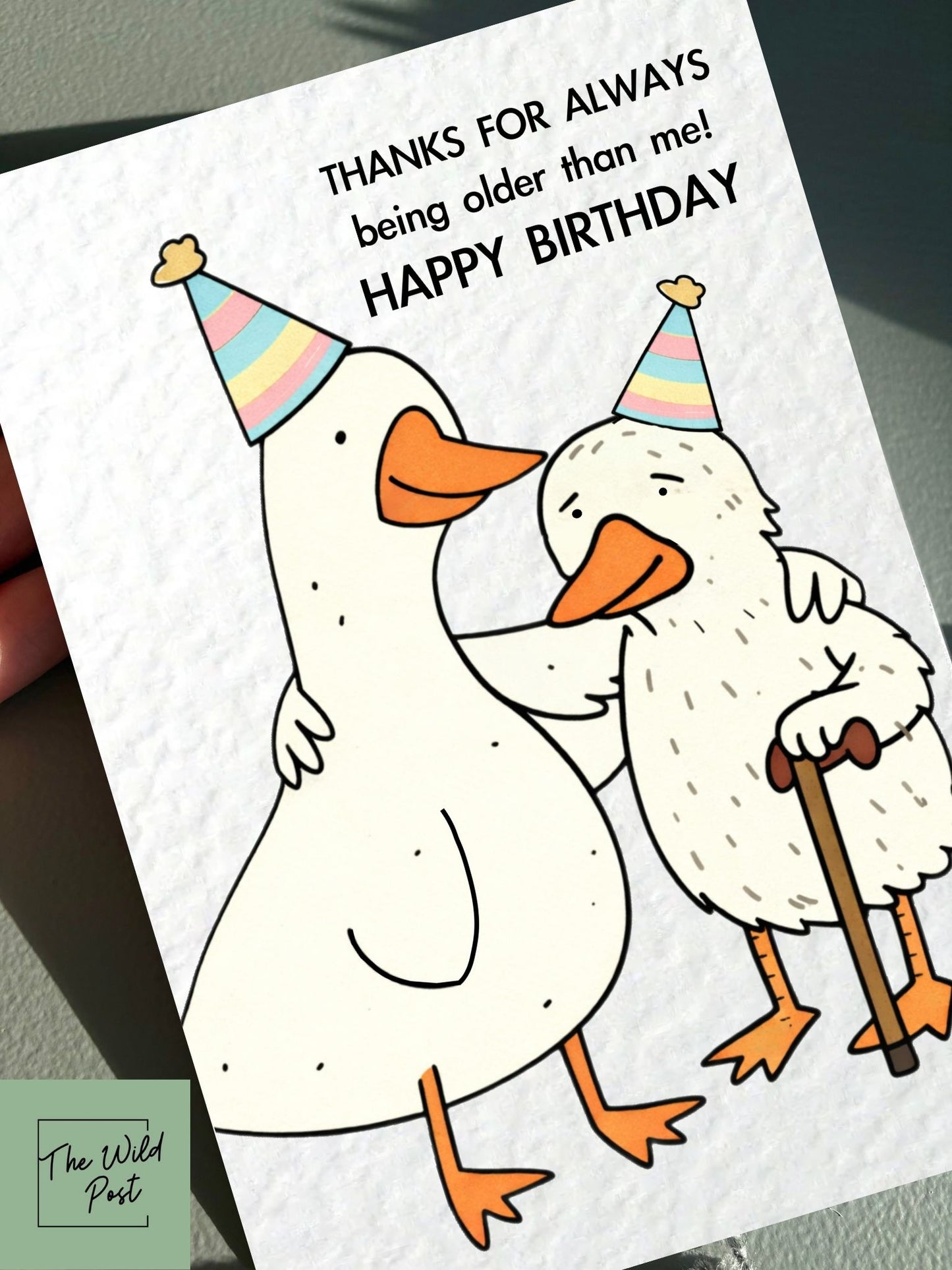 Funny Goose Birthday Card: Old Age, Thanks For Always Being Older Than Me Greeting Card, Two Geese, Old and Young Card For Sibling, Friend